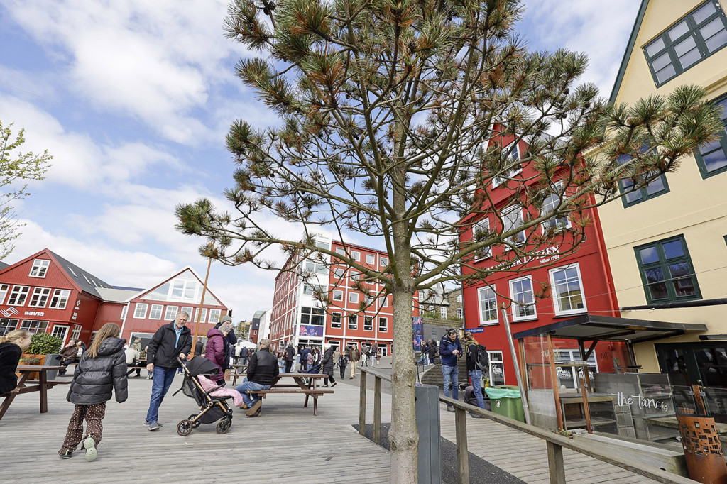 Myndir: Tað spírar í Havn og ein dagur á grynnuni - Dimma.fo
